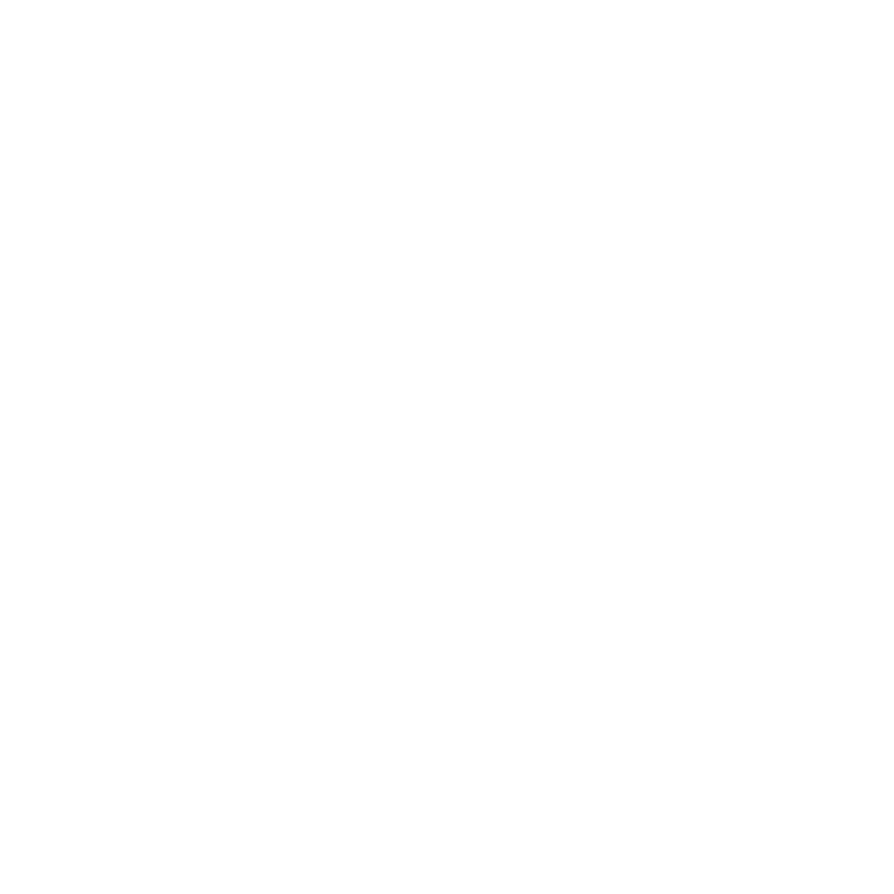 Fiesta y Eventos